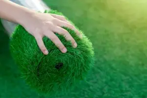 דשא סינטטי הכי זול – האם זהו הפרמטר הנכון?