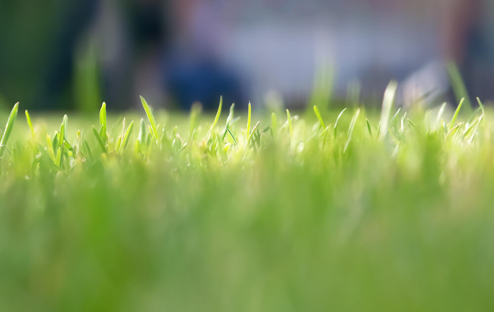 כיצד חום השמש משפיע על הדשא הסינטטי