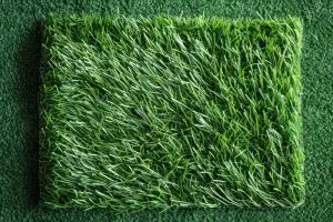 דשא סינטטי לפרגולה